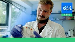 YouTube video thumbnail: ‘Nature Makes Every Colour in the World’: Meet the Company Brewing an end to Toxic Chemical Dyes