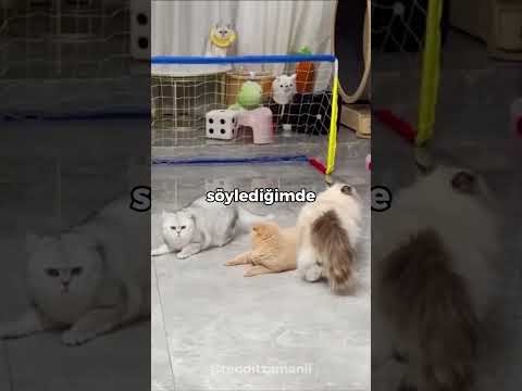 Birisinin yaptığı en sapıkça şey  neydi?