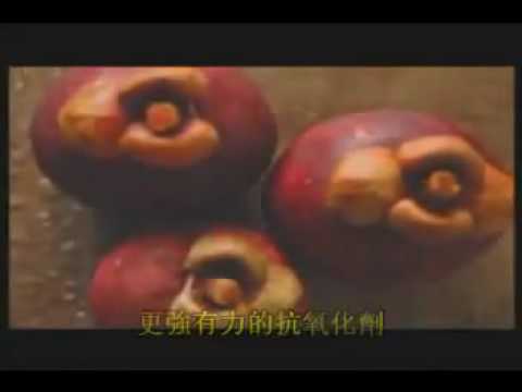 VEMMA中文版-vpaid2u.flv