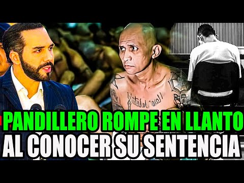 INESPERADA NOTICIA! P4NDILLEROS ROMPEN EN LLANTO EN PLENA AUDIENCIA😱