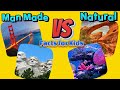 Characteristics of Structures: Natural vs Man-Made