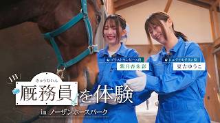 1日厩務員を体験 in ノーザンホースパーク【ウマ娘】