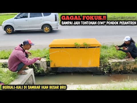 ASTAGA.! BERKALI KALI DI SAMBAR IKAN BESAR || MANCING DI GORONG GORONG PINGGIR JALAN JADI TONTONAN