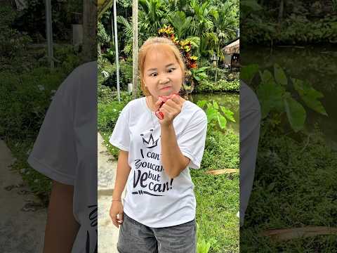 dám hay không?#vanvan