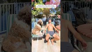 A man and his 75-pound Bernedoodle travel the world together
