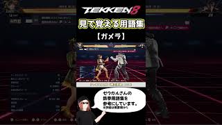 【鉄拳8】見て覚える用語集【ガメラ】