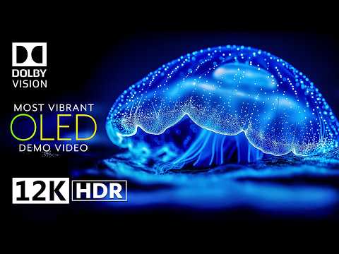 MOST VIBRANT 12K HDR DOLBY VISION™ ULTRA HD (For 8K/4K TV)