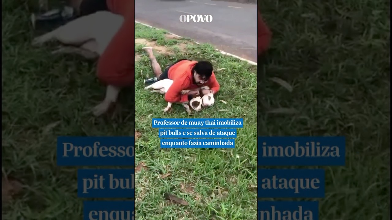 Professor de muaythai imobiliza pitbulls e se salva de ataque enquanto fazia caminhada shorts