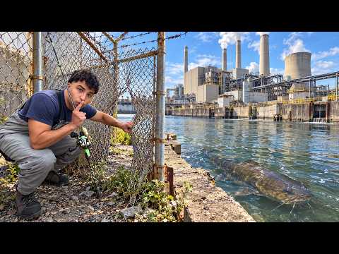 I <strong>Tested</strong> If Power Plants Actually Hold Monster Fish