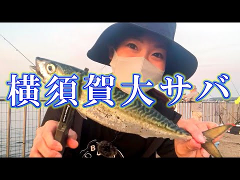 【横須賀】カゴ釣りで大サバを釣りたい！