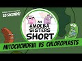 Understanding Mitochondria and Chloroplasts