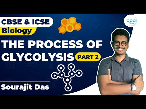 GLYCOLYSIS PART – 2 | CLASS 11 | CBSE | ICSE | ODA CLASS | SOURAJIT SIR