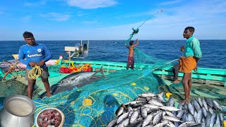 OMG 😱 Fourth Day Unbelievable Catches 💢 Full Video Capture 🤩 Indian Fishing Adventure 