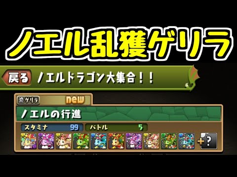 【生放送】ノエルゲリラを1時間【パズドラ】