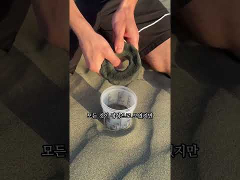 사막에서 자석 낚시는 어떻게 작동하나요 (@crafterduck via TT)