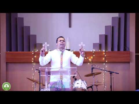 Ammanuel Ethiopian Evangelical Church Portland Oregon