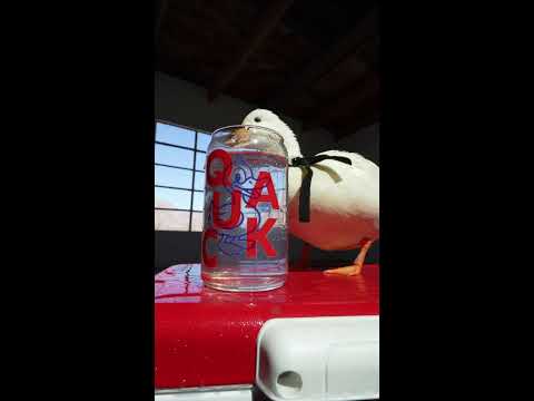 PET DUCK eats frozen peas / ASMR / Mochi The Duck