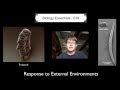 Biology Essentials: Response to External Environments