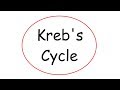 Krebs Cycle and Glycolysis Concepts