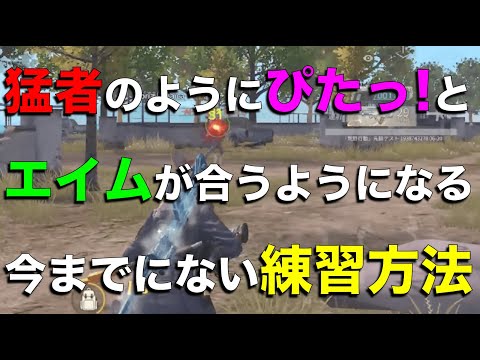 【荒野行動】猛者のピタッと合わせるエイム練習方法を紹介！【解説】