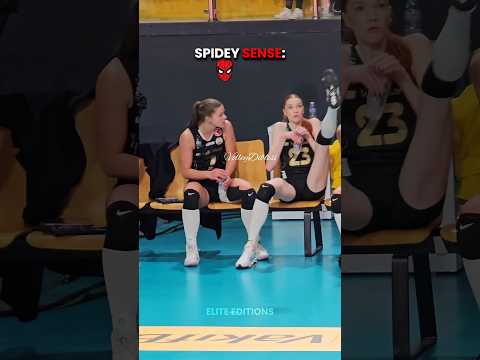 Spidey sense vs these guys ☠️ | #edit #cat #catlover #cats #newyork #usa #purrfect