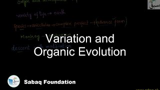 Variation and Organic Evolution