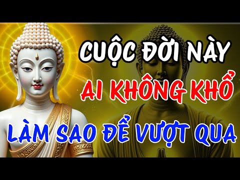 Phật Dạy: Tỉnh Thức Từ Khổ Đau | Hành Trình Quay Về Nơi An Lạc