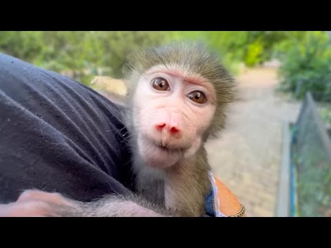 Мы с Люсей идём проведать Джони- Люся СНЕЖНАЯ КОРОЛЕВА! АнгеЛюсики в Тайгане!
