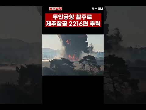 181명중... 2명 생존, 무안공항서 181명 탄 여객기 충돌·폭발 / 중부일보