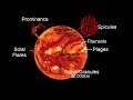 Solar Phenomena and Magnetic Fields