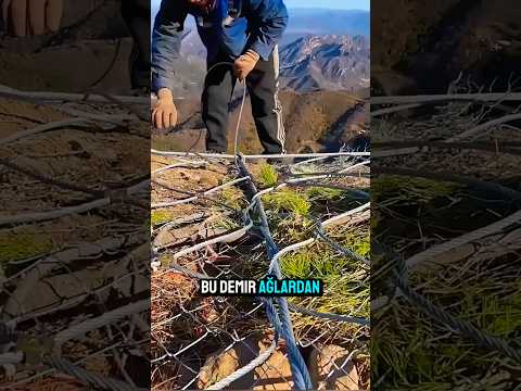 Bu Ağlar Erozyonu Engellemek İçin!🌱😲
