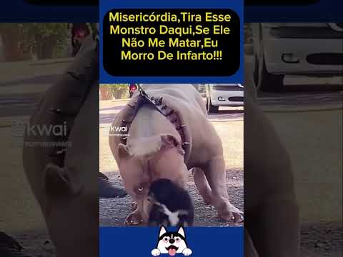 Longe de mim pit doído 😅😂🤣