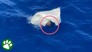 Marine biologists find floating garbage and realize it’s not just trash