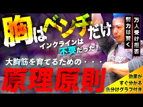 【筋トレ】胸はベンチプレスだけで十分!?  インクライン不要の最強理論とは!