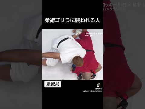 柔術ゴリラに襲われる人【巌流島】