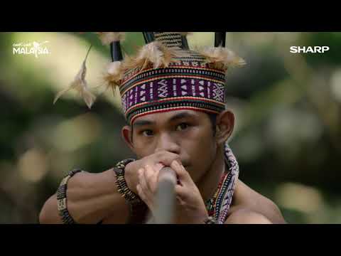 AMAZING MALAYSIA