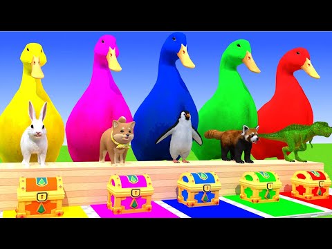 5 Giant Duck Cartoon,Cow,Elephant,Tiger,Lion,Gorilla, Paint Wild Animals Crossing Fountain Animation