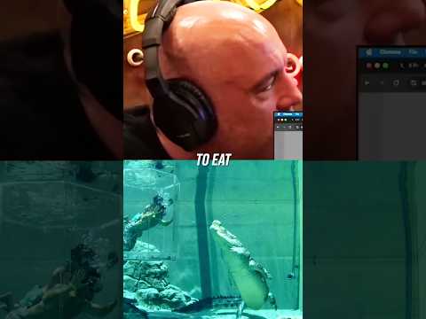 Joe Rogan on the Crocodile Cage