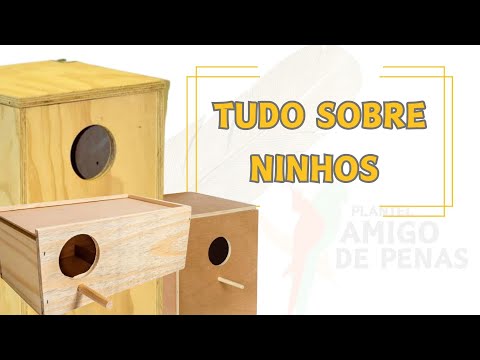 NINHOS DE CALOPSITA - TIPO, TAMANHO, MATERIAL, MANEJO