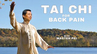 Tai Chi Secrets for Back Pain Revealed  | Beginner Routine