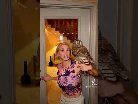 #meandmyowl #oaky #oakytheowl #owlsoftiktok #owllady #greathornedowls #leslie #falconry