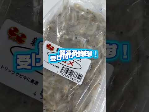 シロメ入荷‼️サビキ釣りに最適✨