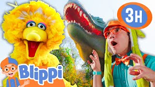 Blippi and Sesame Street Become DINOSAUR EXPLORERS! |  Blippi and Meekah Best Friend Adventures