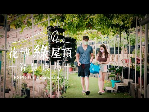 【110年 臺北好農】花博綠屋頂智慧農場 / EXPO Green Roof Smart Farm - YouTube