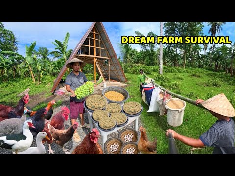 LIMANG TRUCK NG RICE HULLS PARA HINDI NA MAPUTIK ANG KULUNGAN - BUHATAN UMAGA HANGANG HAPON