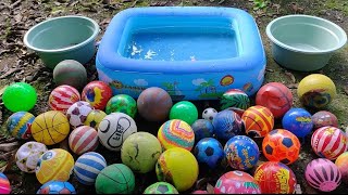 Ayoooo !!! Mengumpulkan Bola Bola Kedalam Kolam & Ember !!!