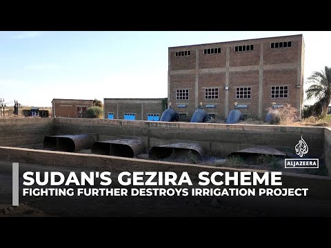 Sudan’s Gezira scheme: Once thriving, now crippled by mismanagement, neglect and conflict