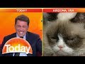 Grumpy Cat Interview Insights