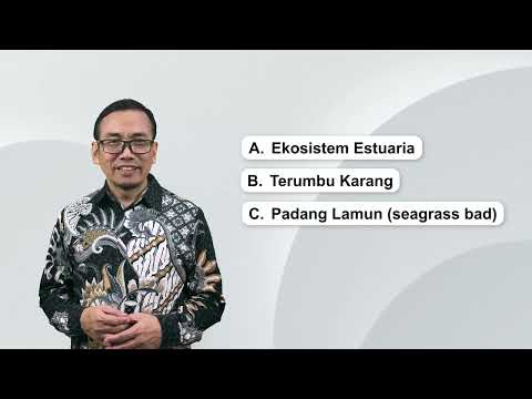 Pengantar Bab 12 Estuaria dan Pantai Hayati