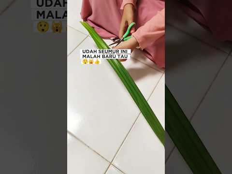 tips bikin tempat kue dari daun pandan #lifehacks #tipsandtricks